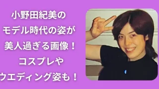 小野田紀美のモデル時代の姿が美人過ぎる画像!コスプレやウエディング姿も!