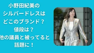 小野田紀美のシルバードレスどこのブランド？値段は？他の議員と被ったてると話題に！